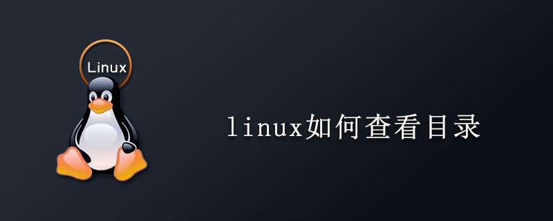 linux如何查看目录第1张