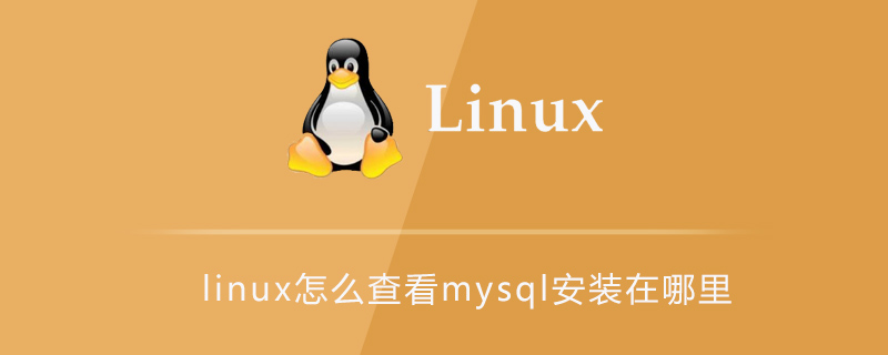 linux怎么查看mysql安装在哪里第1张