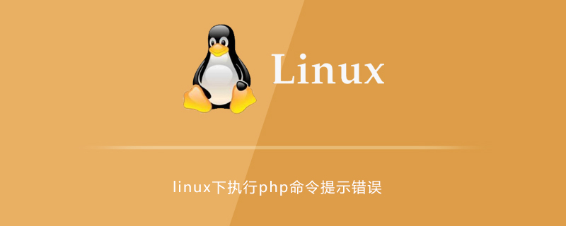 linux下执行php命令提示错误第1张