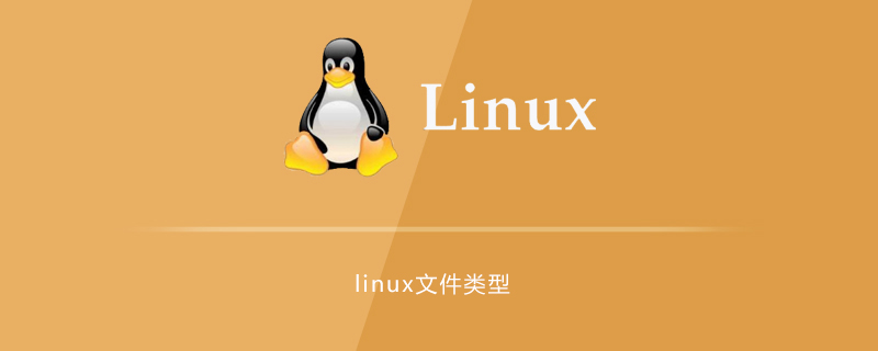 linux中有几种文件类型第1张