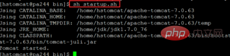 linux如何启动tomcat第1张