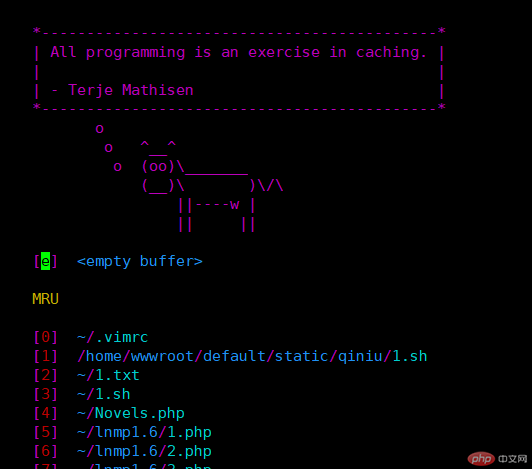 使用vim-plug插件管理器安装vim插件