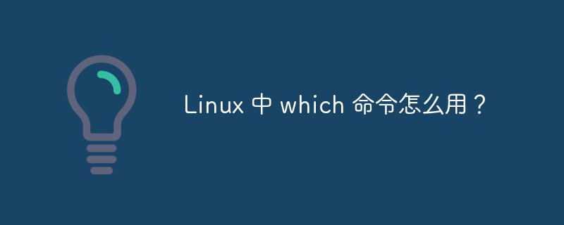 Linux 中 which 命令怎么用？第1张