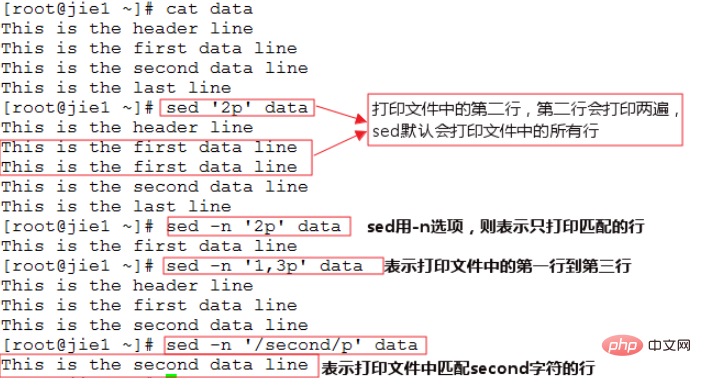 linux中的sed是什么意思第1张