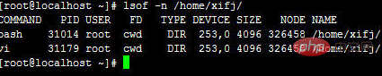 linux中lsof命令是什么意思第1张