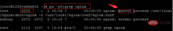 linux下nginx重启命令是什么？第2张