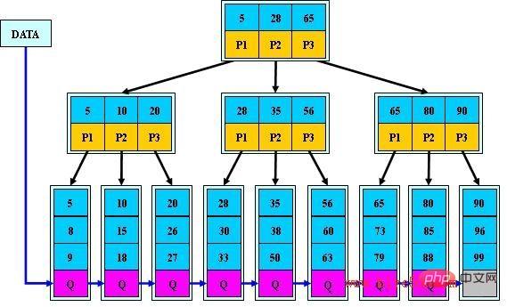 MySQL为什么主键自增第1张