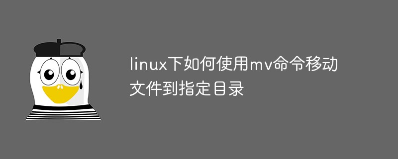 linux下如何使用mv命令移动文件到指定目录第1张