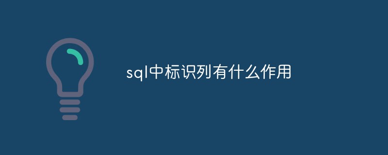 sql中标识列有什么作用第1张