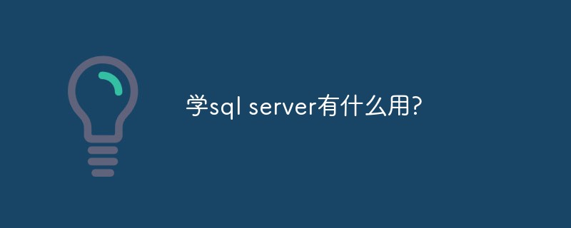 学sql server有什么用?第1张