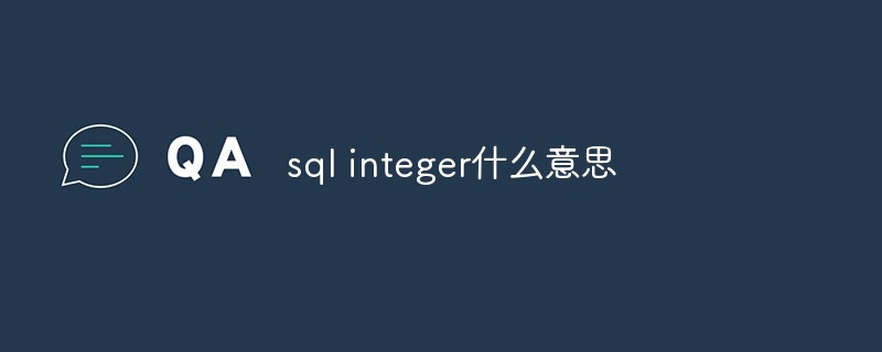 sql integer什么意思第1张