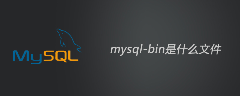 mysql-bin是什么文件？第1张