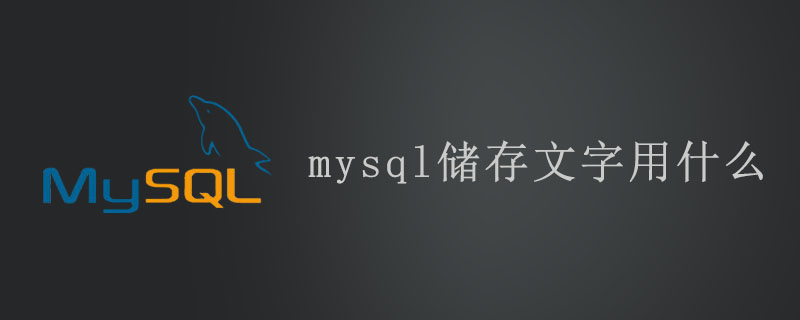 mysql储存文字用什么第1张