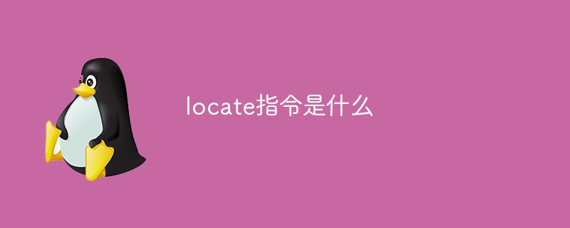 locate指令是什么第1张