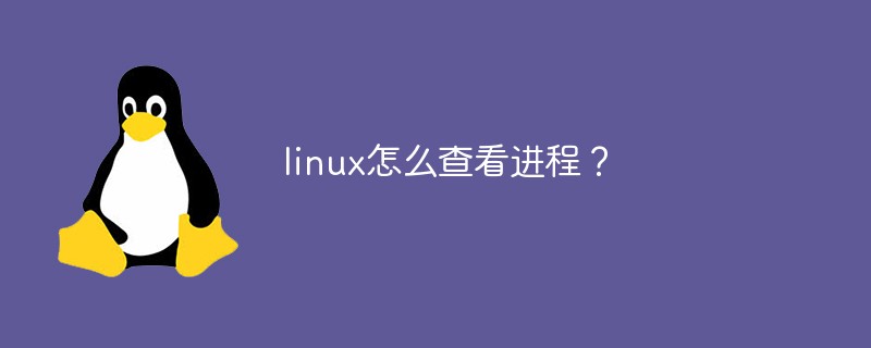 linux怎么查看进程？第1张