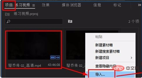 premiere怎么自由裁剪画面第1张