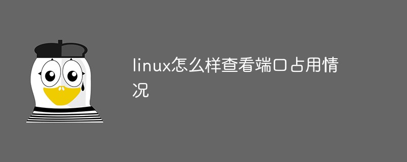 linux怎么样查看端口占用情况第1张