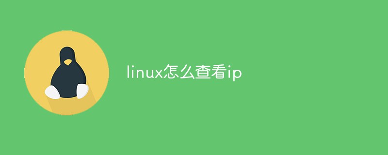 linux怎么查看ip第1张