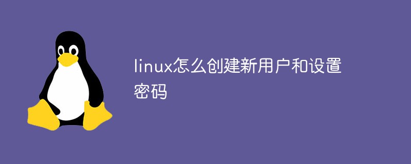 linux怎么创建新用户和设置密码第1张