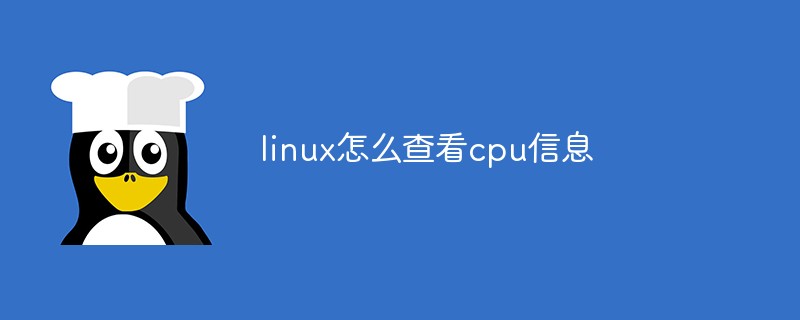 linux怎么查看cpu信息第1张