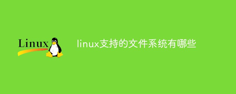 linux支持的文件系统有哪些第1张