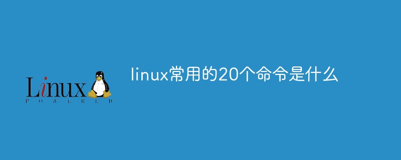 linux常用的20个命令是什么第1张