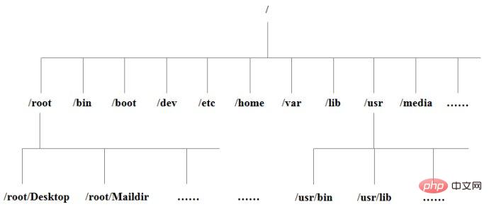 存放linux基本命令的目录是什么第1张