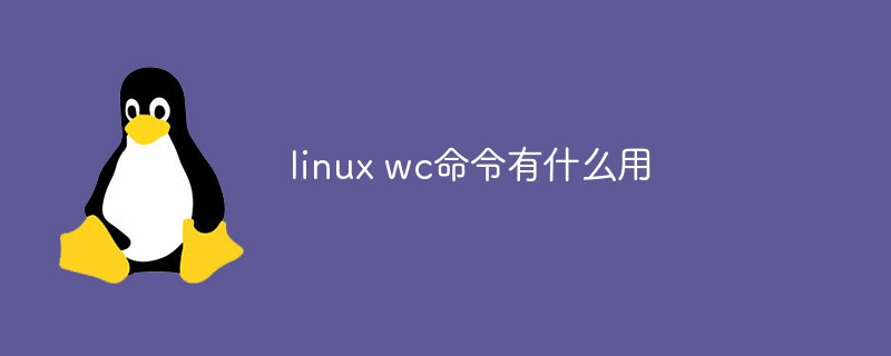 linux wc命令有什么用第1张