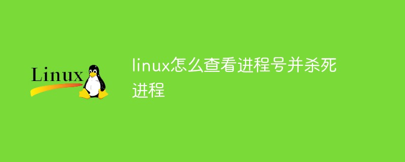 linux怎么查看进程号并杀死进程第1张