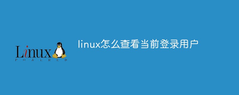 linux怎么查看当前登录用户第1张