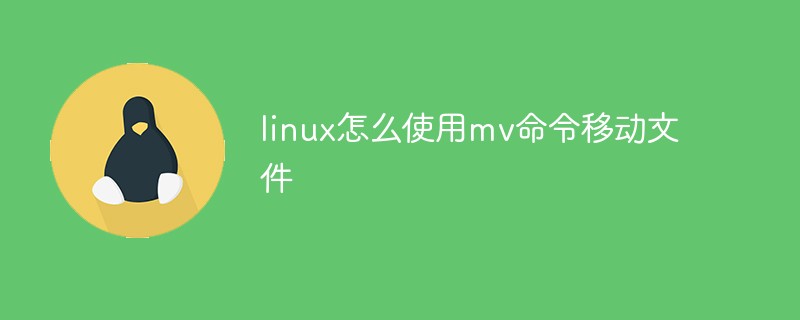 linux怎么使用mv命令移动文件第1张