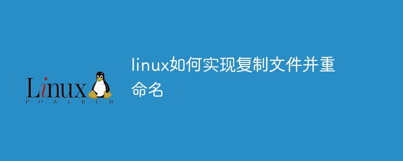 linux如何实现复制文件并重命名第1张