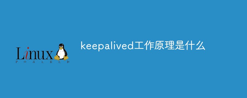 keepalived工作原理是什么第1张