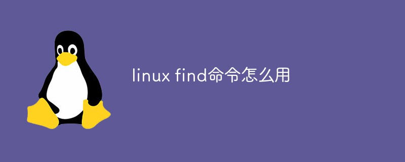 linux find命令怎么用第1张