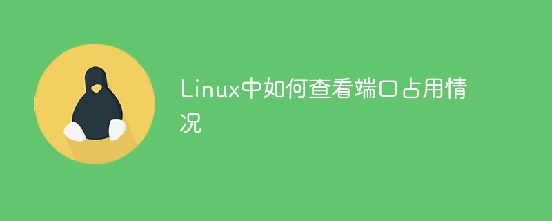 Linux中如何查看端口占用情况第1张