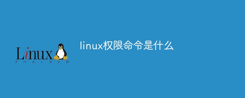 linux权限命令是什么第1张