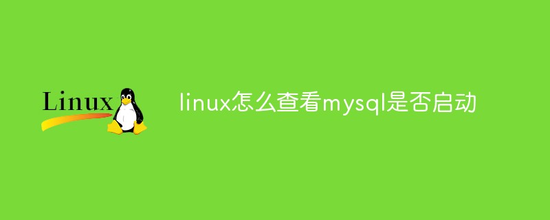 linux怎么查看mysql是否启动第1张