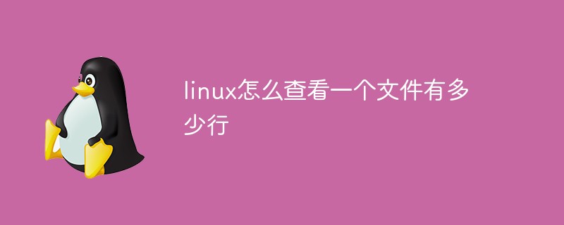 linux怎么查看一个文件有多少行第1张