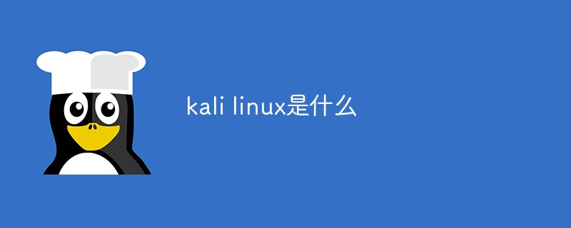 kali linux是什么第1张