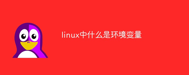 linux中什么是环境变量第1张