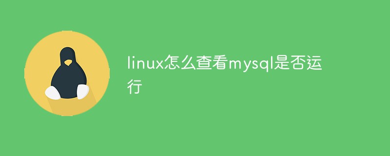 linux怎么查看mysql是否运行第1张