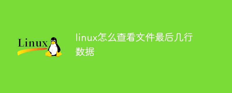 linux怎么查看文件最后几行数据第1张