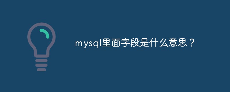 mysql里面字段是什么意思？第1张