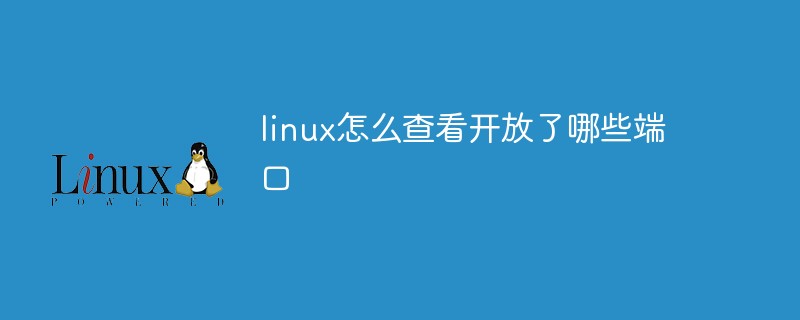 linux怎么查看开放了哪些端口第1张