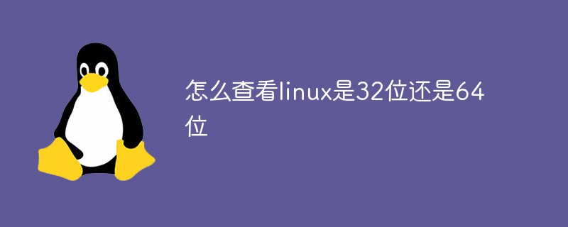 怎么查看linux是32位还是64位第1张