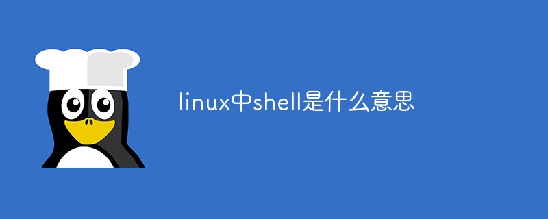 linux中shell是什么意思第1张