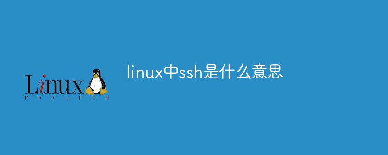 linux中ssh是什么意思第1张