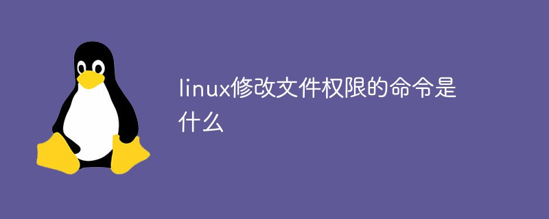 linux修改文件权限的命令是什么第1张