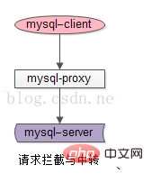 mysql proxy的意思是什么第1张