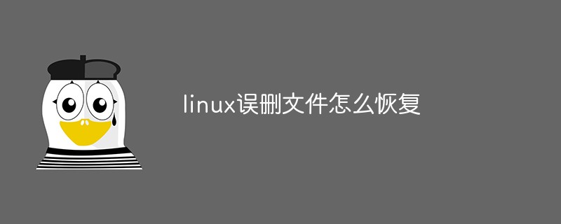 linux误删文件怎么恢复第1张